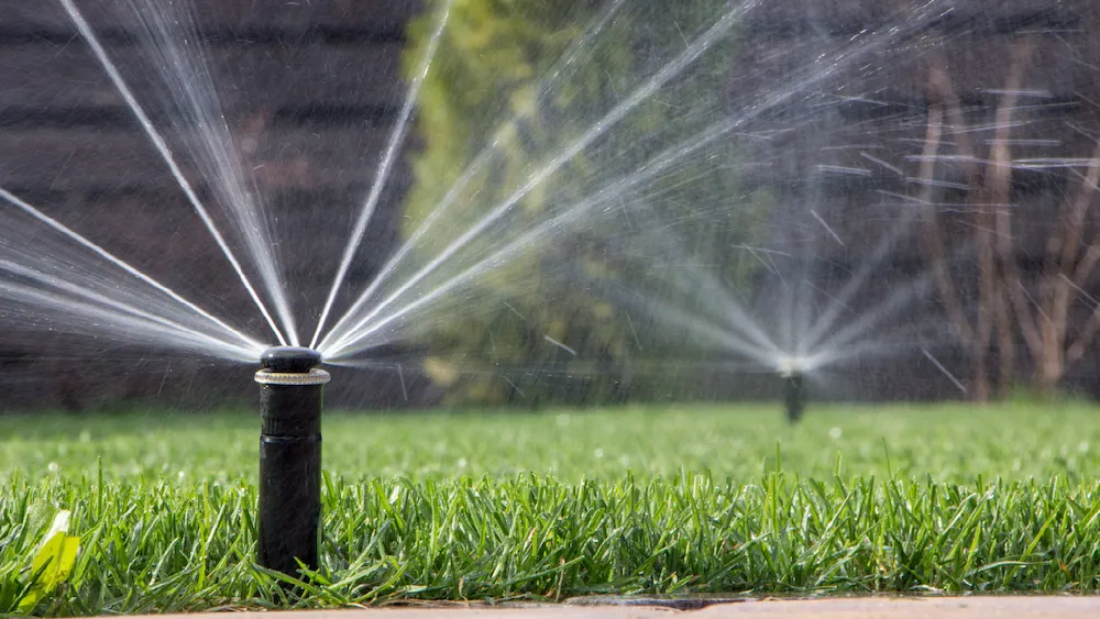 Child image